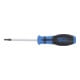 BGS Cacciavite, profilo a T (per TX) T15, Lunghezza della lama 80 mm-3