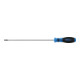 BGS Cacciavite, profilo a T (per TX) T25, Lunghezza della lama 250 mm-1