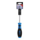 BGS Cacciavite, profilo a T (per TX) T27, Lunghezza della lama 100 mm-3