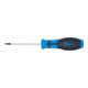 BGS Cacciavite, profilo a T (per TX) T7, Lunghezza della lama 80 mm-3