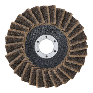 BGS Disco abrasiva a ventaglio, velo, Diametro 125 mm, grana 80