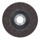 BGS Disco per smerigliatura lamellare-1