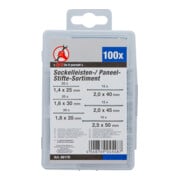 BGS Do it yourself Assortimento di tasselli per battiscopa e pannelli, 100pz.-3