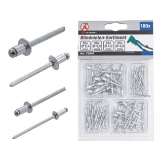 BGS Do it yourself Assortimento rivetti a strappo, Ø 2,4 - 4,8mm, 100pz.