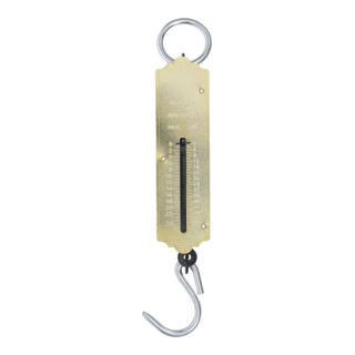 BGS Do it yourself Bilancia tascabile a molla, fino a 25 kg