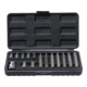 BGS Do it yourself Bit-Satz  Antrieb Außensechskant 10 mm T-Profil (für TX) 15-tlg.-1