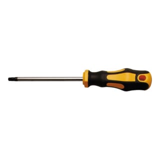 BGS Do it yourself Cacciavite, profilo a T (per TX) T20, Lunghezza della lama 100mm