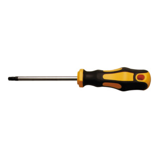 BGS Do it yourself Cacciavite, profilo a T (per TX) T30, Lunghezza della lama 100mm