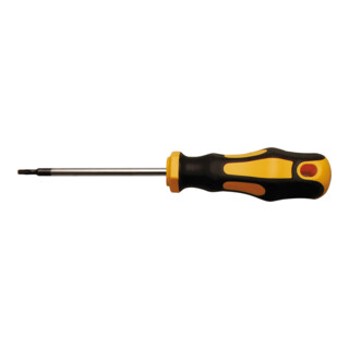 BGS Do it yourself Cacciavite, profilo a T (per TX) T6, Lunghezza della lama 60mm