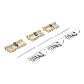 BGS Do it yourself Cilindri in ottone per serrature con chiave uguale, 15pz.