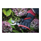 BGS Do it yourself Leichtmetall-Gartenschere 210 mm