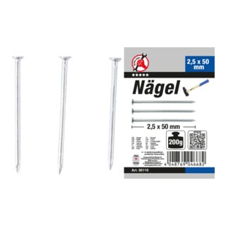 BGS Do it yourself Nägel-Sortiment 88116, 200 g, 2,5 x 50 mm