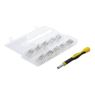 BGS Do it yourself Präzisions-Bit-Schrauber-Satz 31 teilig