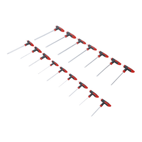 BGS Do it yourself Schraubendreher-Satz mit T-Griff und seitlicher Klinge Innensechskant/T-Profil (für Torx) 16-tlg.