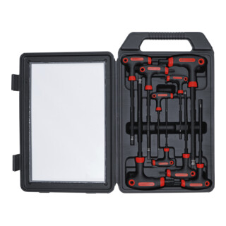 BGS Do it yourself schroevendraaierset met T-greep en binnenzeskant 2 - 10 mm 9 dlg.