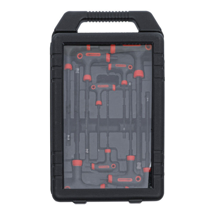 BGS Do it yourself schroevendraaierset met T-greep en binnenzeskant 2 - 10 mm 9 dlg.