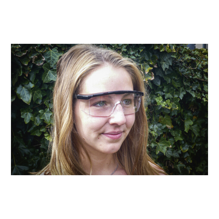 BGS Do it yourself Schutzbrille mit verstellbarem Bügel transparent