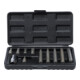 BGS Do it yourself Set di bit, interni multidente (per XZN), 11pz.-1