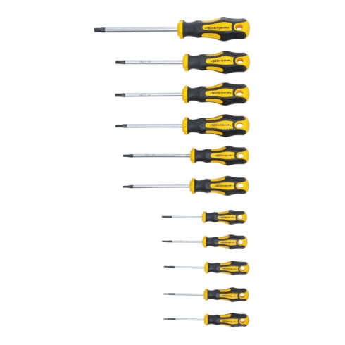 BGS Do it yourself Set di cacciaviti a T (per TX) con foro T6-T4 11pz.