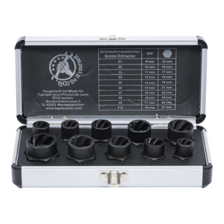 BGS Do it yourself Set di inserti per chiavi a bussola speciali, 10pz.