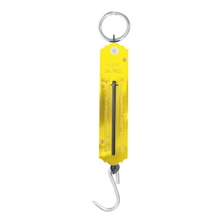 BGS Do it yourself Taschenfederwaage bis 50 kg