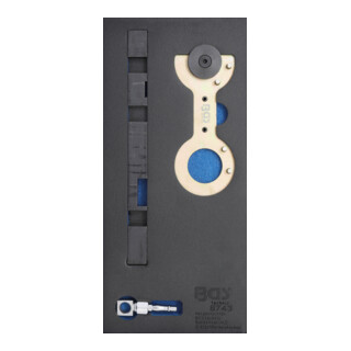 BGS Doppelvanos-Einstellwerkzeug-Satz für BMW M52TU / M54 / M56