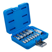 BGS Dopsleutelbitset | 6,3 mm (1/4") / 10 mm (3/8") / 12,5 mm (1/2") | binnenzeskant 2 - 14 mm | 13-dlg.-2