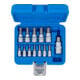 BGS Dopsleutelbitset | 6,3 mm (1/4") / 10 mm (3/8") / 12,5 mm (1/2") | binnenzeskant 2 - 14 mm | 13-dlg.-4