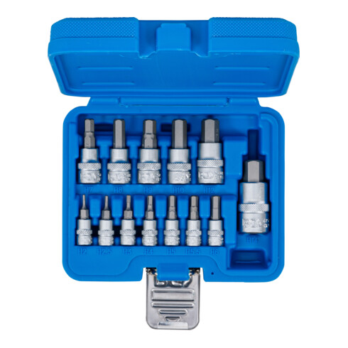 BGS Dopsleutelbitset | 6,3 mm (1/4") / 10 mm (3/8") / 12,5 mm (1/2") | binnenzeskant 2 - 14 mm | 13-dlg.