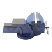 BGS Étau parallèle mâchoires 125 mm-3