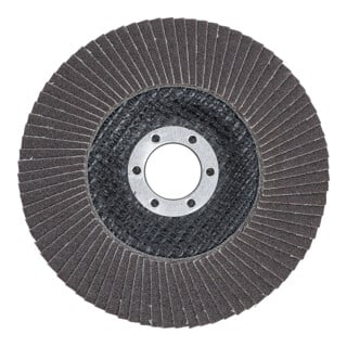 BGS Fächerschleifscheibe für Aufnahme 22,2 mm