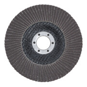 BGS Fächerschleifscheibe für Aufnahme 22,2 mm