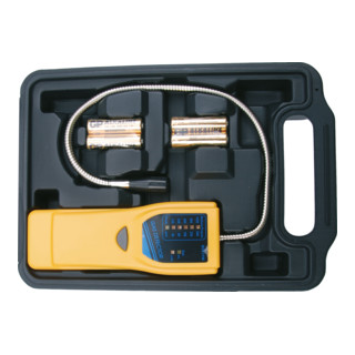 BGS gasdetector
