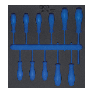 BGS Gereedschapmodule 2/3 | leeg | voor BGS 4079