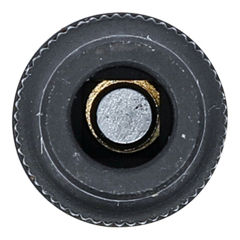 BGS Inserto chiave a bussola per mandrino maschio, 10 mm (3/8"), 6,4 mm