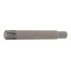 BGS Inserto, lunghezza 100 mm, attacco esagono esterno 10 mm (3/8"), profilo a cuneo (per RIBE) M14-1