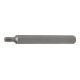 BGS Inserto, lunghezza 100 mm, attacco esagono esterno 10 mm (3/8"), profilo a cuneo (per RIBE) M6-1