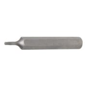 BGS Inserto, lunghezza 75 mm, attacco esagono esterno 10 mm (3/8"), profilo a T (per TX) T10