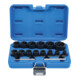 BGS Jeu de douilles spéciales / extracteur de vis Entraînement carré intérieur 12,5 mm SW 8 - 27 mm 16 pcs.-1
