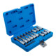 BGS Jeu d'embouts, entraînement carré intérieur 6,3 mm (1/4") / 12,5 mm (1/2"), profil T (pour TX), 18 pièces-2