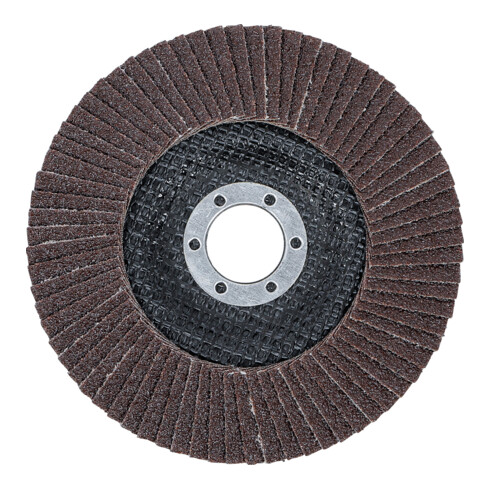 BGS lamellenslijpschijf