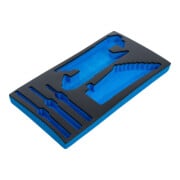 BGS Modulo per BGS 2002, vuoto, per BGS 2002-8-3