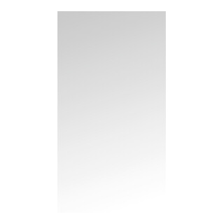 BGS Pellicola protettiva, per BGS 8841