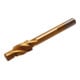 BGS Punta HSS 110x10mm-1