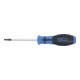 BGS Schraubendreher 4918, T-Profil (für Torx) T15, Klingenlänge 80 mm-3