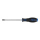 BGS Schraubendreher 4923, T-Profil (für Torx) T40, Klingenlänge 150 mm-1