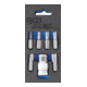 BGS schroevendraaier bit set aandrijving buitenzeskant 10 mm (3/8 inch) T-profiel (voor Torx) 7 delig-1