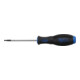 BGS Schroevendraaier | T-profiel (voor Torx) met boring T10 | Meslengte 80 mm-1