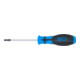 BGS Schroevendraaier | T-profiel (voor Torx) met boring T20 | Meslengte 80 mm-3