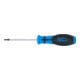 BGS Schroevendraaier | T-profiel (voor Torx) T10 | Meslengte 80 mm-3